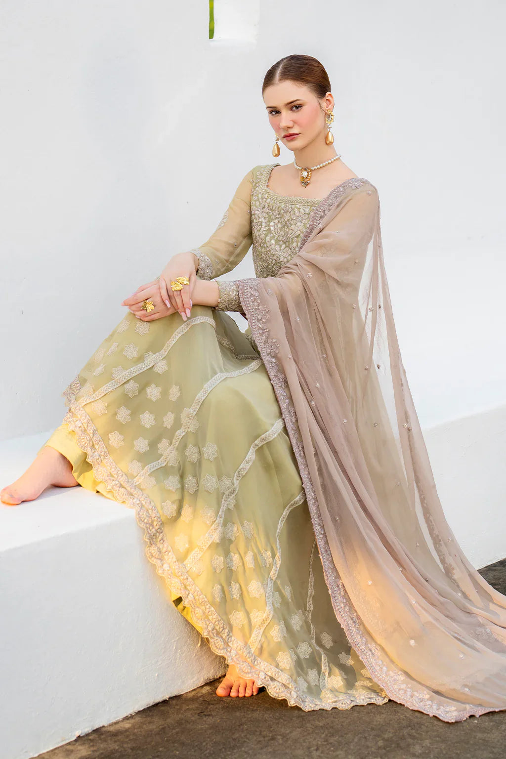 Iznik | Chinon Chiffon | CC-68 Embroidered Chiffon - House Of Hania