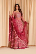 Iznik | Chinon Chiffon | CC-72 Embroidered Net - House Of Hania