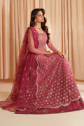 Iznik | Chinon Chiffon | CC-72 Embroidered Net - House Of Hania