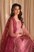 Iznik | Chinon Chiffon | CC-72 Embroidered Net - House Of Hania