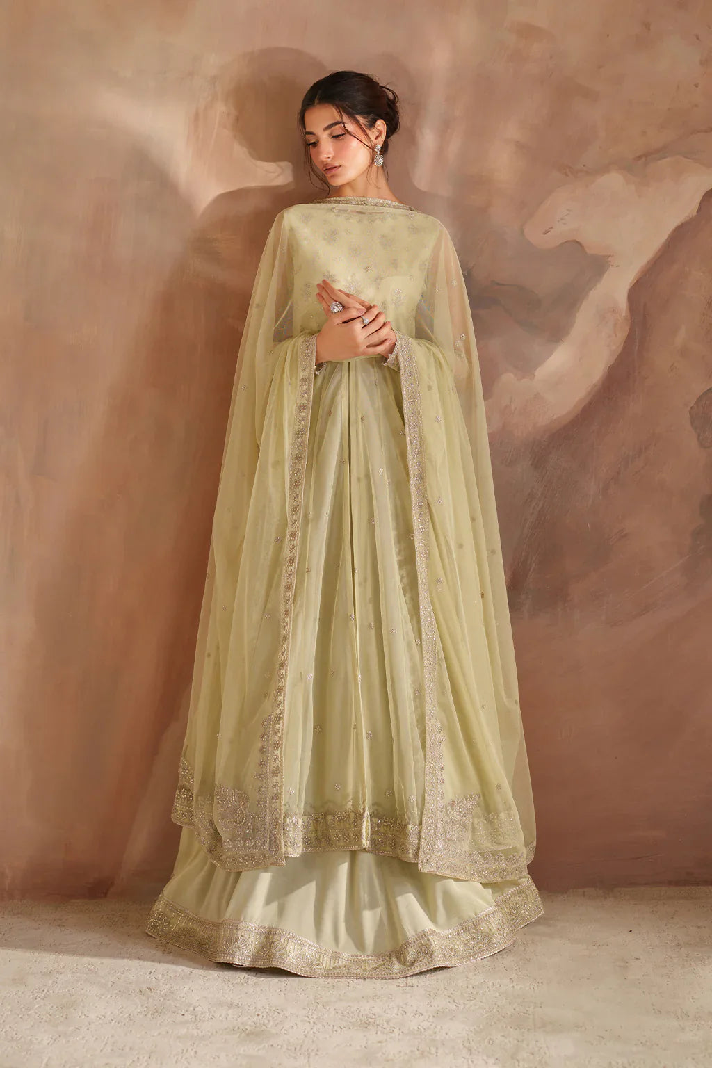 Iznik | Chinon Chiffon | CC-73 Embroidered Net - House Of Hania