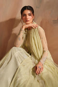Iznik | Chinon Chiffon | CC-73 Embroidered Net - House Of Hania