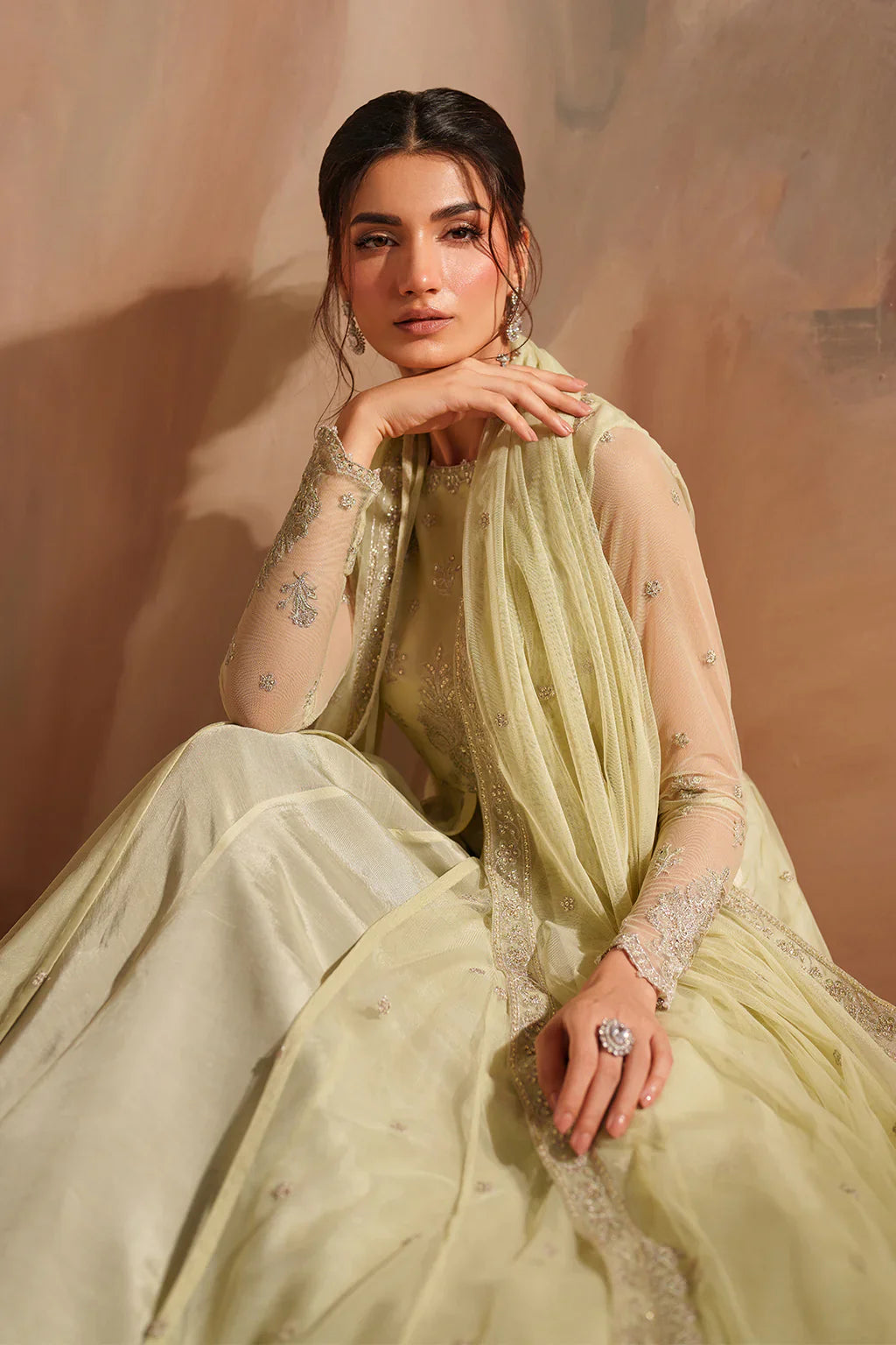 Iznik | Chinon Chiffon | CC-73 Embroidered Net - House Of Hania