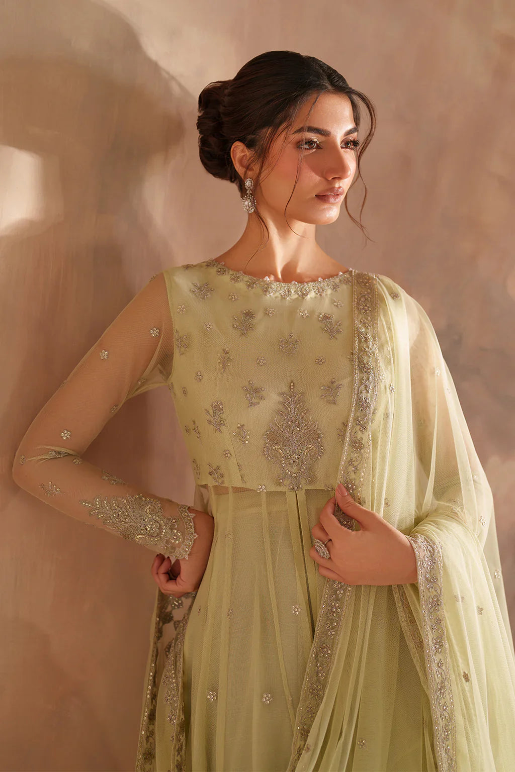 Iznik | Chinon Chiffon | CC-73 Embroidered Net - House Of Hania