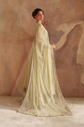 Iznik | Chinon Chiffon | CC-73 Embroidered Net - House Of Hania