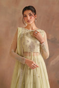 Iznik | Chinon Chiffon | CC-73 Embroidered Net - House Of Hania