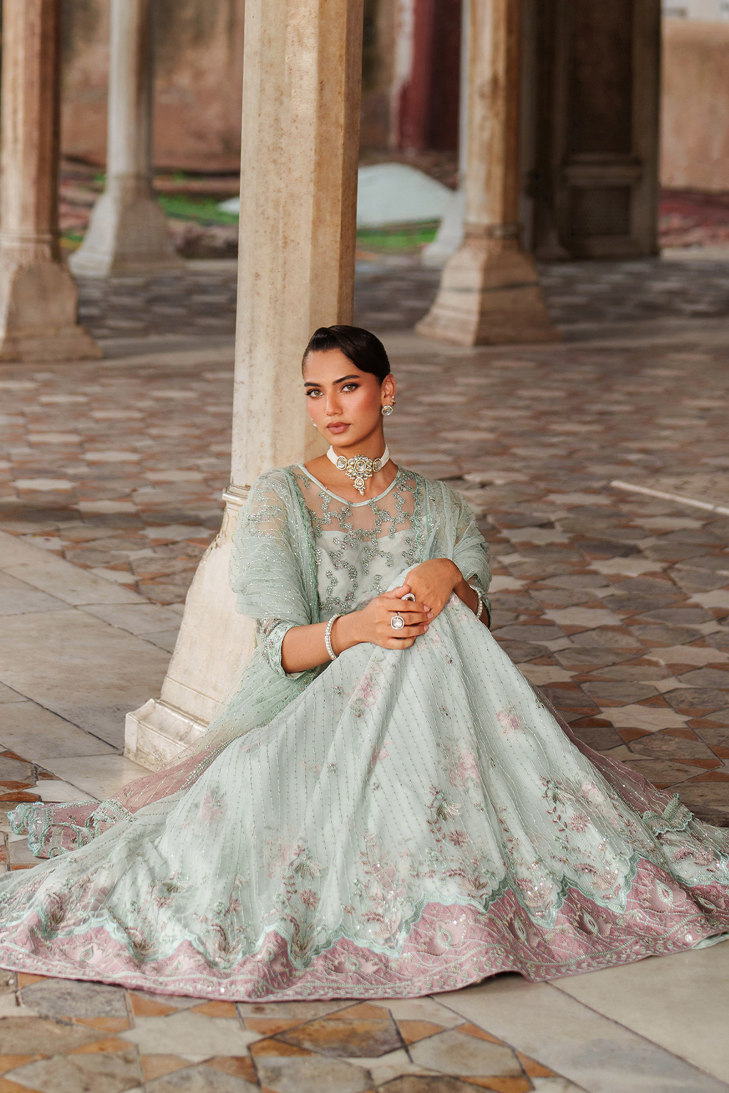Iznik | Exclusive Formals | UE-553 Embroidered Net - House Of Hania