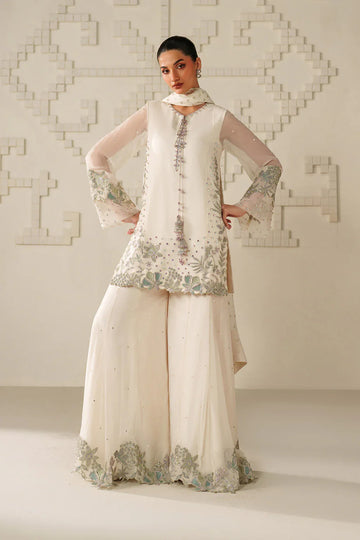 Iznik | Festive Formals | UE-620 Embroidered Chiffon - House Of Hania