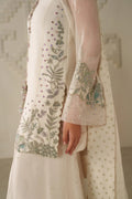 Iznik | Festive Formals | UE-620 Embroidered Chiffon - House Of Hania