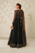 Iznik | Festive Formals | UE-621 Embroidered Chiffon - House Of Hania