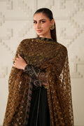 Iznik | Festive Formals | UE-621 Embroidered Chiffon - House Of Hania