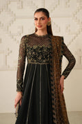 Iznik | Festive Formals | UE-621 Embroidered Chiffon - House Of Hania