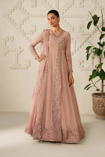 Iznik | Festive Formals | UE-623 Embroidered Chiffon - House Of Hania