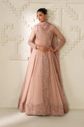 Iznik | Festive Formals | UE-623 Embroidered Chiffon - House Of Hania
