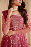 Iznik I Festive Formal I CC-72 Embroidered Net - House Of Hania
