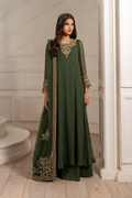 Iznik I Festive Formal I UE-416 Embroidered Chiffon - House Of Hania