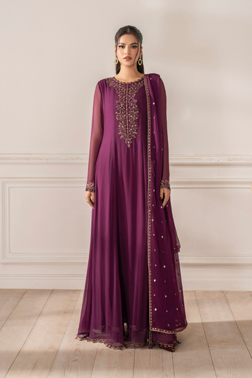 Iznik I Festive Formal I UE-480 Embroidered Chiffon - House Of Hania
