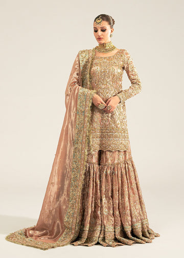 Kanwal Malik | Sajni Wedding 2024 |  Meeram - House Of Hania