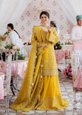 MEENA-AKBAR ASLAM - House Of Hania
