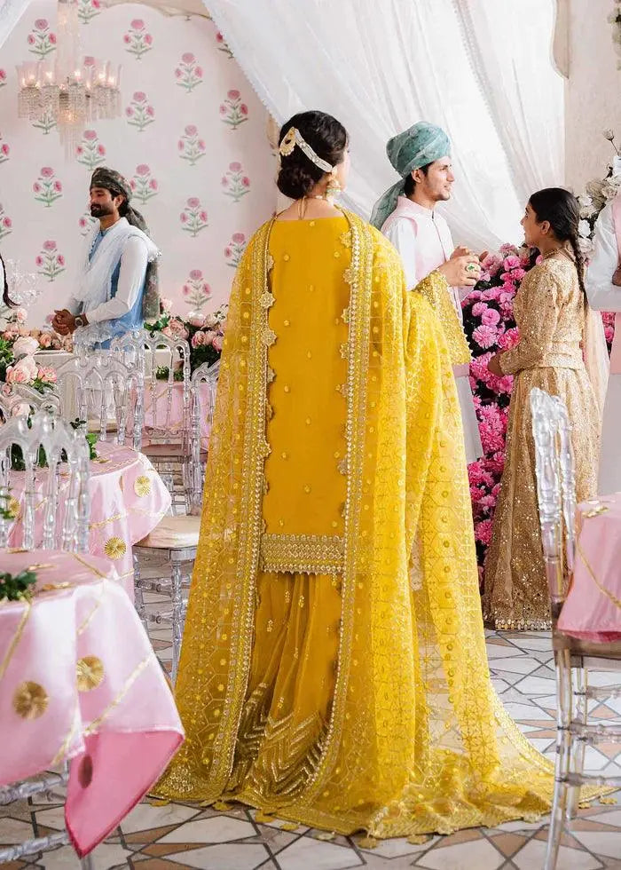 MEENA-AKBAR ASLAM - House Of Hania