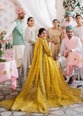 MEENA-AKBAR ASLAM - House Of Hania