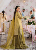 MEHARZAD-AKBAR ASLAM - House Of Hania