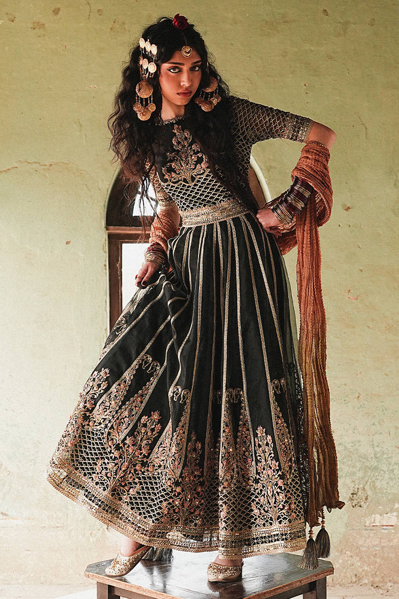 MNR | Farid Manzil Luxury Pret'26 | RONAK-E-CHAMAN - House Of Hania