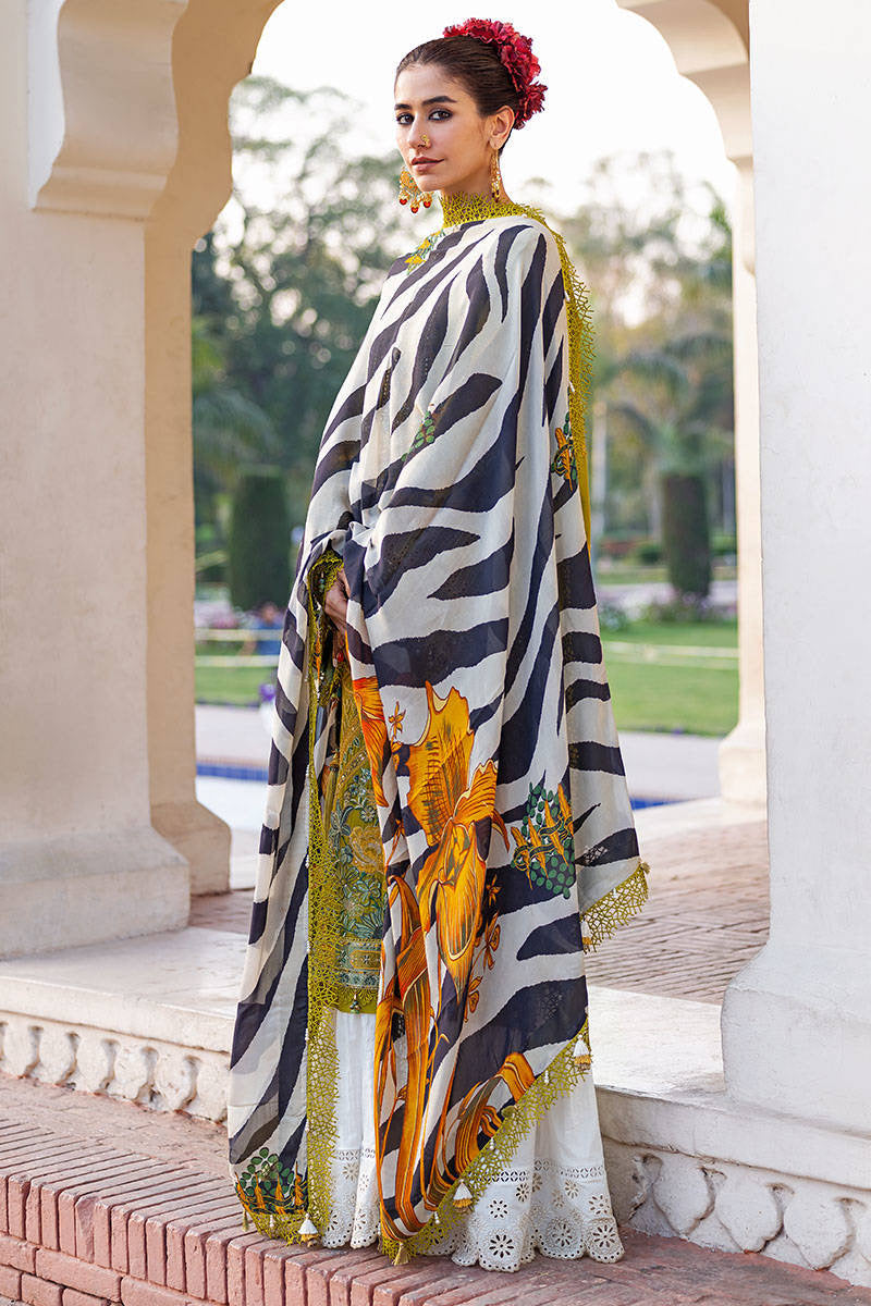 MNR Mohsin Naveed Ranjha Luxury lawn 2023 - House Of Hania