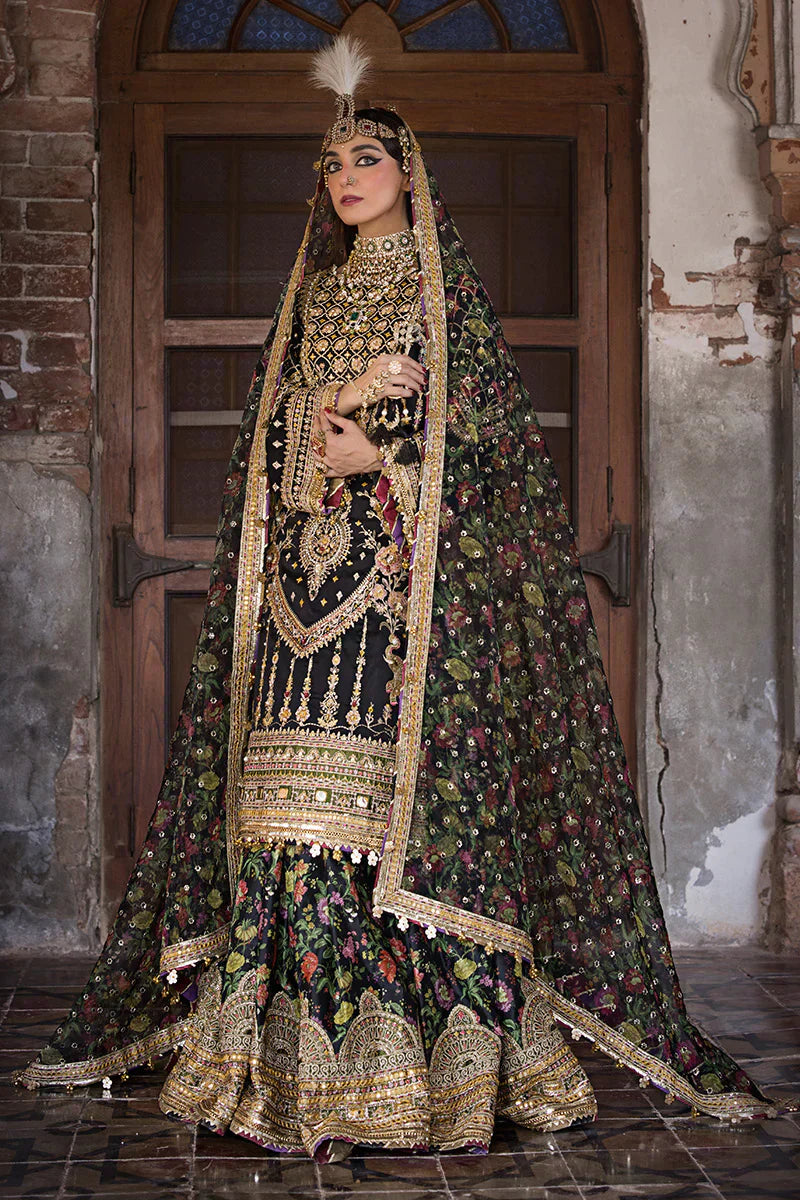 MNR | Talpur Dynasty 23 | Koyal - House Of Hania