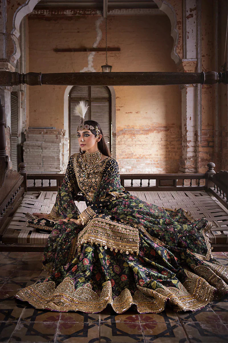 MNR | Talpur Dynasty 23 | Koyal - House Of Hania