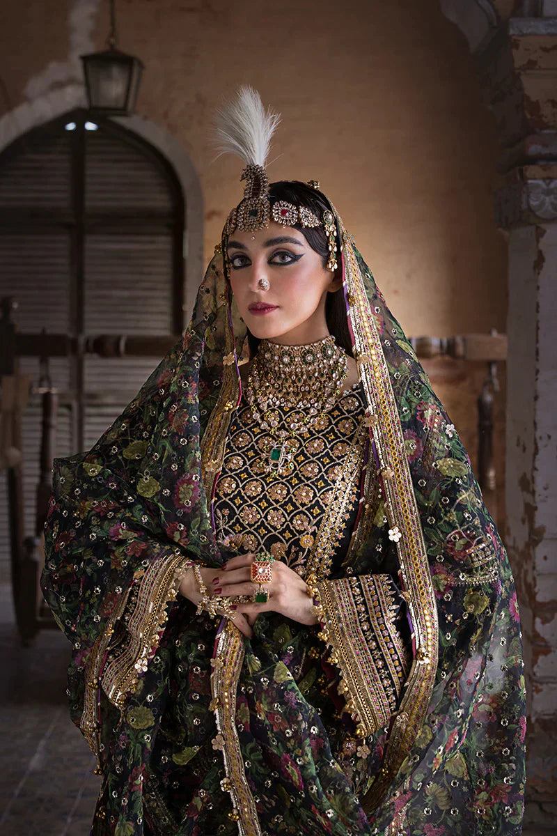 MNR | Talpur Dynasty 23 | Koyal - House Of Hania