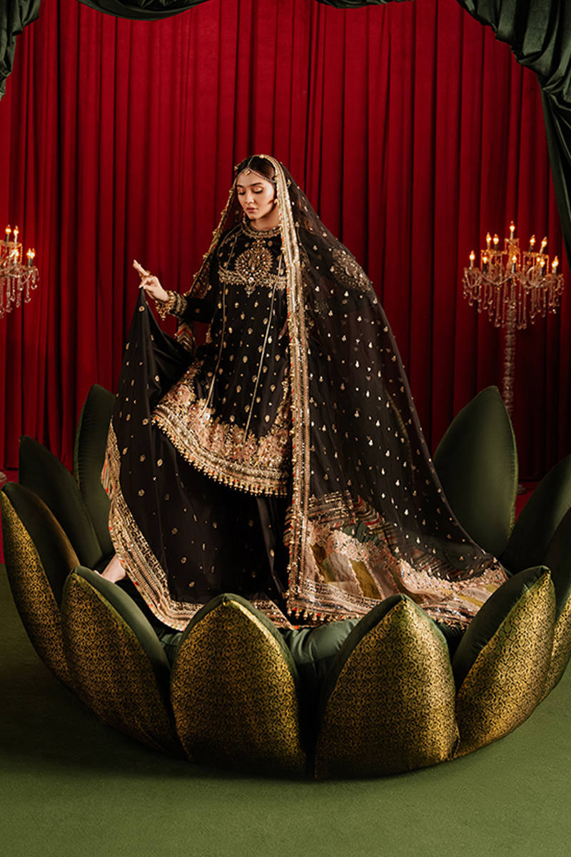 MNR | Zarlish Festive Formals | Afreen - House Of Hania