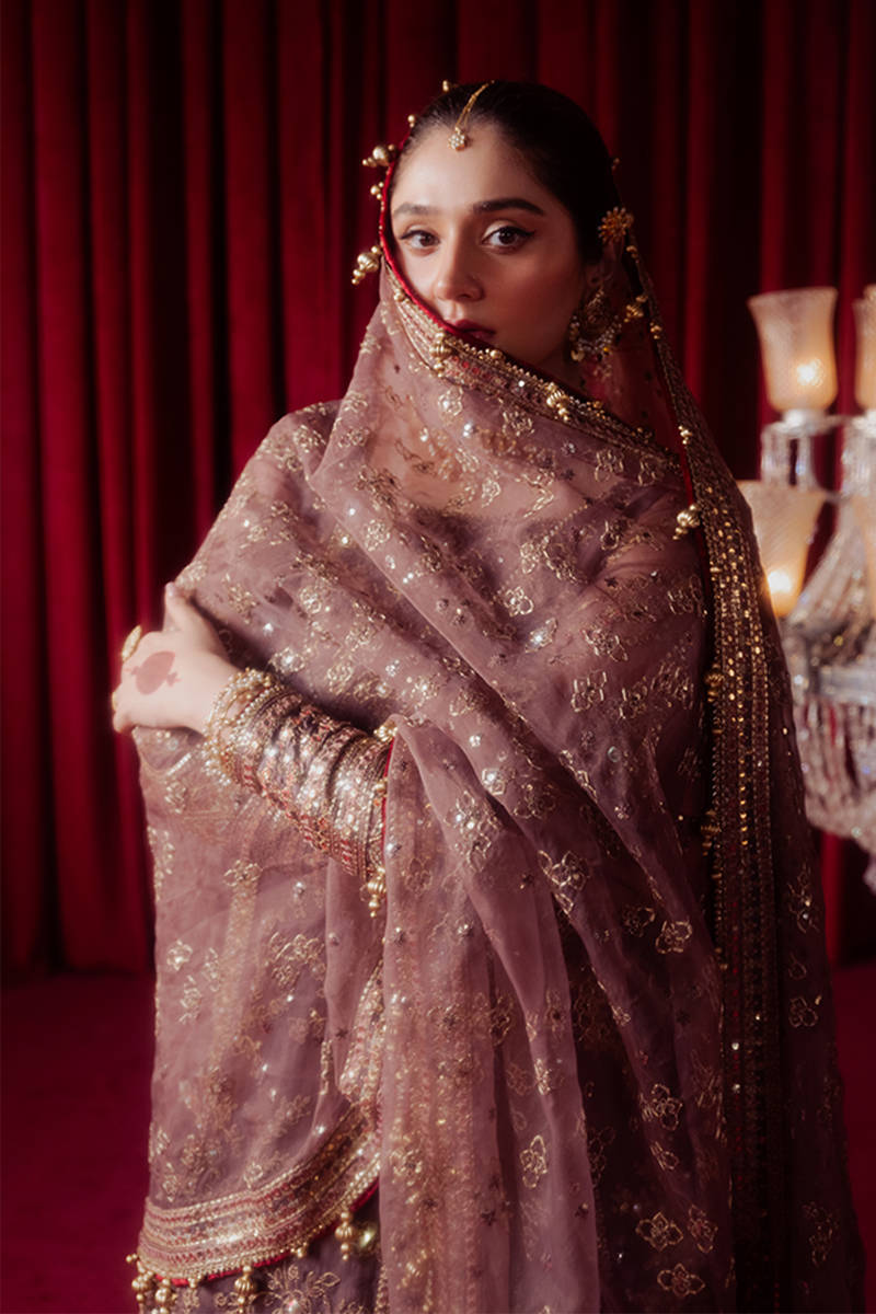 MNR | Zarlish Festive Formals | Dil Nasheen - House Of Hania