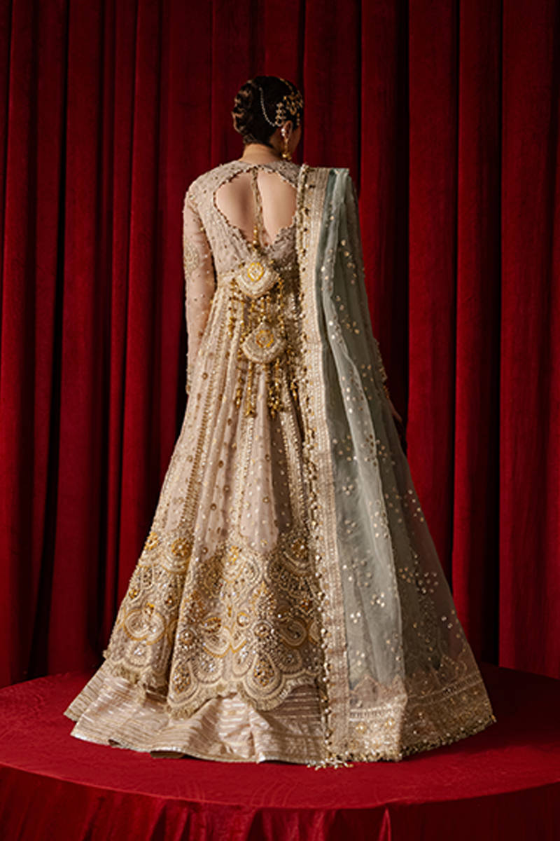 MNR | Zarlish Festive Formals | Shabnami - House Of Hania