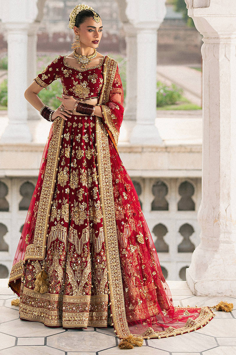 MNR | Zarlish Festive Stitched Vol VI | BIA JAAN - House Of Hania