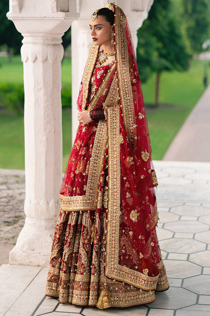 MNR | Zarlish Festive Stitched Vol VI | BIA JAAN - House Of Hania