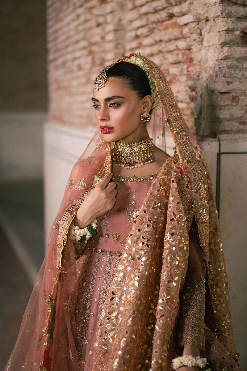 MNR | Zarlish Festive Stitched Vol VI | KHUSHBOO - House Of Hania