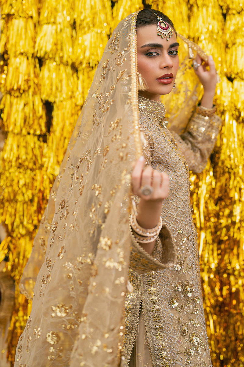 MNR | Zarlish Festive Stitched Vol VI | ROSHNI - House Of Hania
