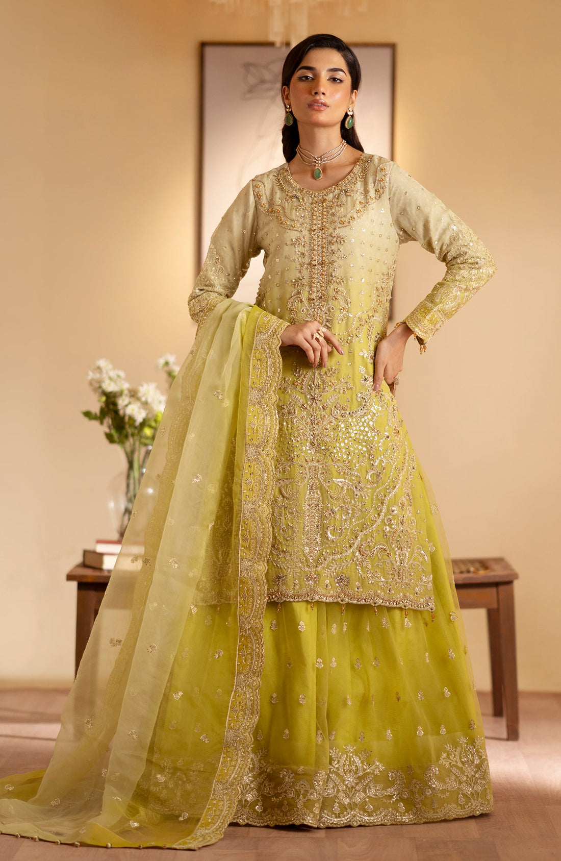 Emaan Adeel Sabian embroidered organza outfit — front view