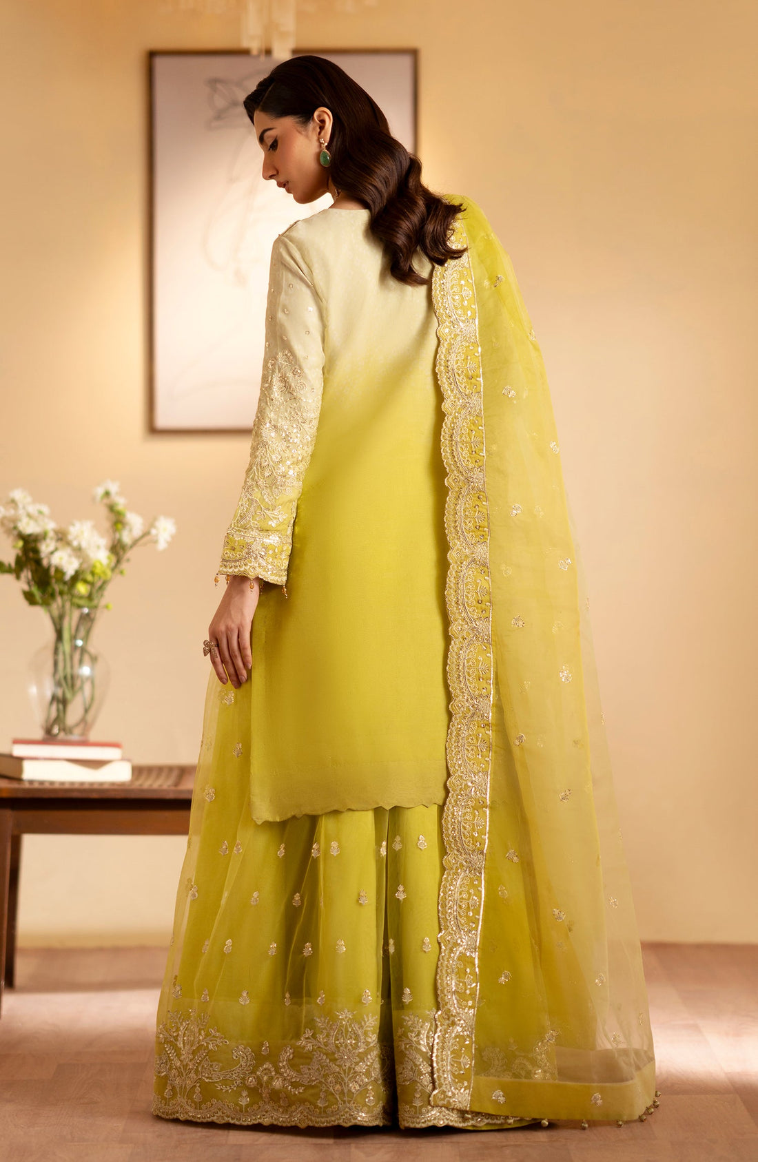 Emaan Adeel Sabian embroidered organza outfit — front view