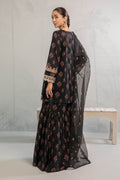 Maira B | Ready to Wear | DW-EA23-06R1 - House Of Hania