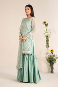 Maira B | Ready to Wear | DW-EF25-17 - House Of Hania