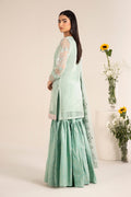 Maira B | Ready to Wear | DW-EF25-17 - House Of Hania
