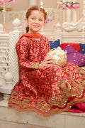 Maria B | 3 Piece Embroidered Jamawar Suit | MKS-W24-30 - House Of Hania