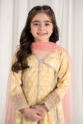 Maria B | 3 Piece Embroidered Lawn Suit | MKD-EF25-09 - House Of Hania