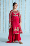 Maria B | 3 Piece Embroidered Net Suit | MKS-EA24-02 - House Of Hania