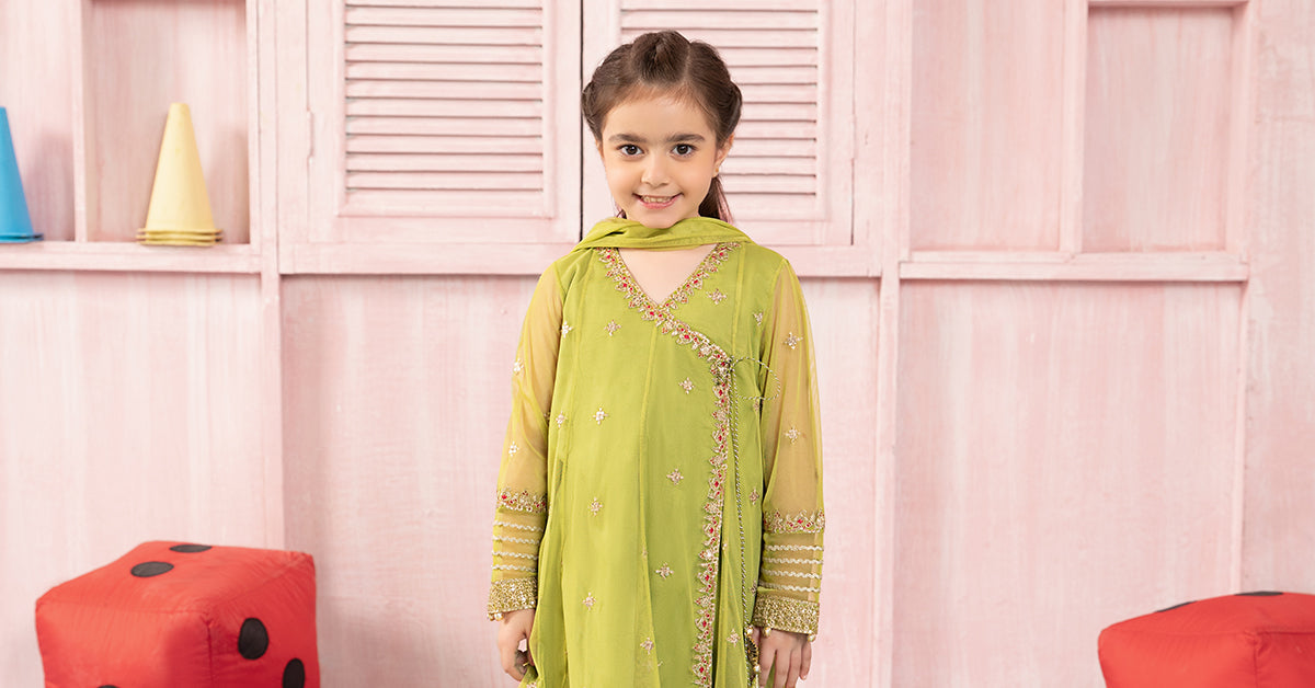 Maria B | 3 Piece Embroidered Net Suit | MKS-PF24-05 - House Of Hania