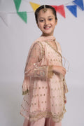 Maria B | 3 Piece Embroidered Organza Suit | MKS-EF24-18 - House Of Hania