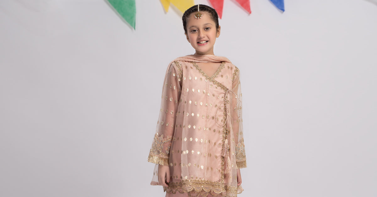 Maria B | 3 Piece Embroidered Organza Suit | MKS-EF24-18 - House Of Hania