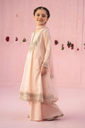 Maria B | 3 Piece Embroidered Organza Suit | MKS-EF24-19 - House Of Hania